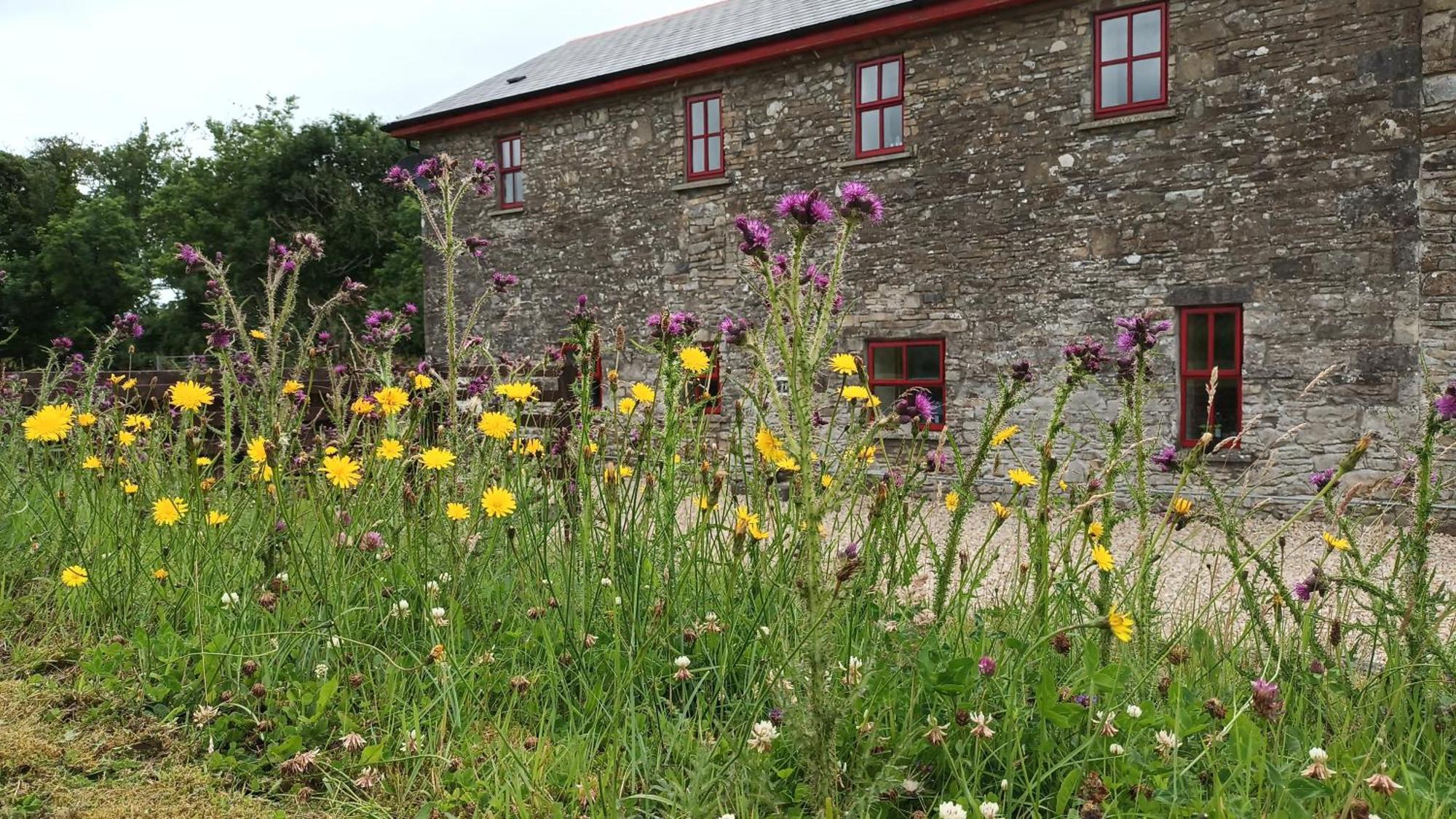 The Old Mill, Kilcorkey, Bellanagare, Castlerea, County Roscommon - West Of Ireland -House 1 Exterior foto